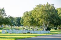 Sacred Heart Cemetery image 1